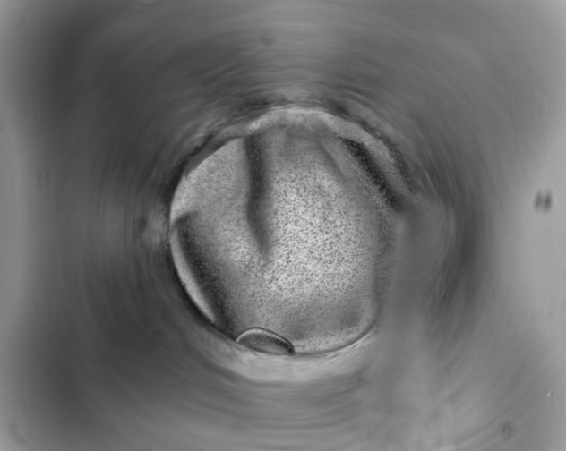 X0000102360048200808151822