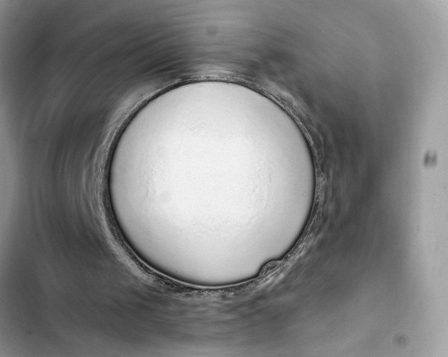 X0000102360049200808151822