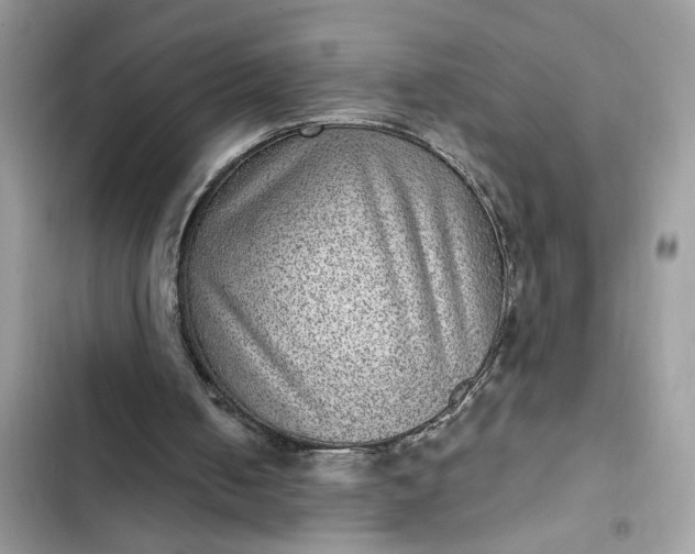 X0000102360050200808151822