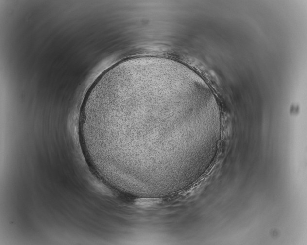 X0000102360051200808151822