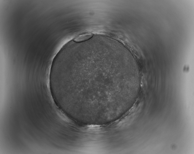 X0000102360052200808151822