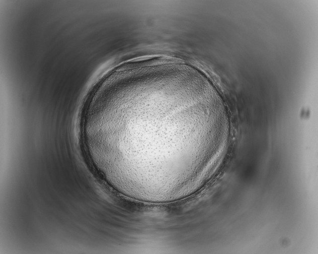 X0000102360053200808151822