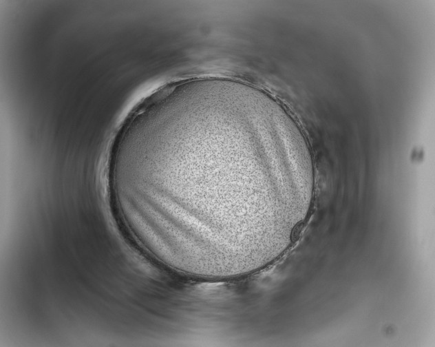 X0000102360054200808151822