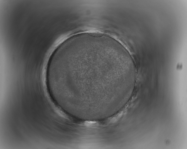 X0000102360055200808151822