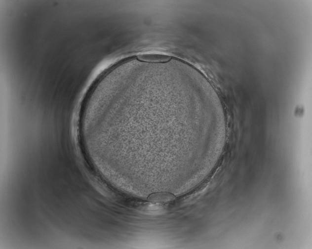 X0000102360056200808151822