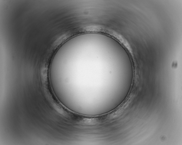 X0000102360057200808151822