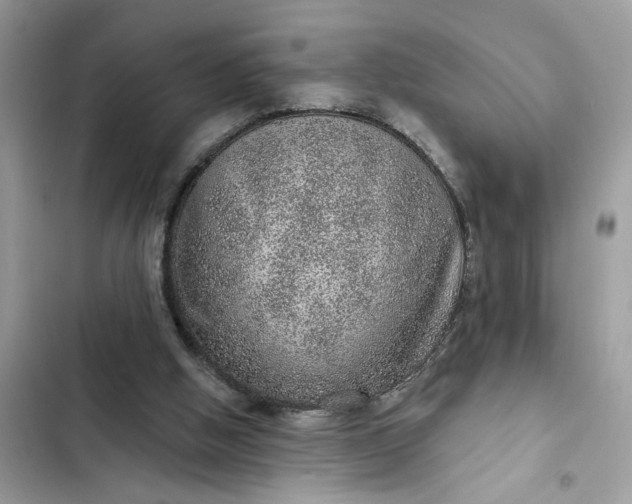 X0000102360058200808151822