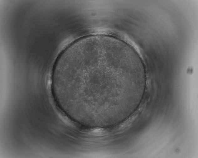 X0000102360059200808151822