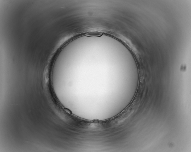 X0000102360060200808151822