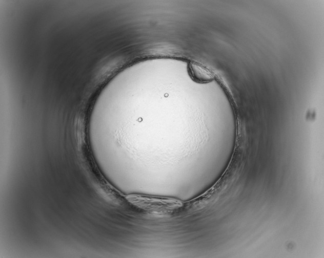 X0000102360061200808151822