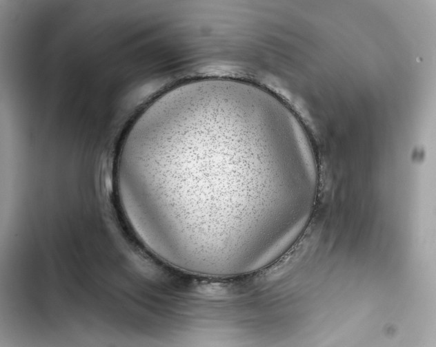 X0000102360062200808151822