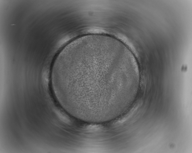 X0000102360063200808151822