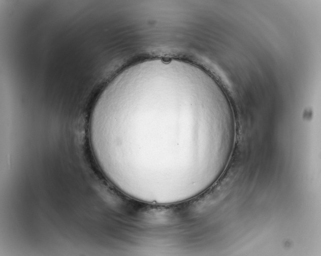 X0000102360065200808151822