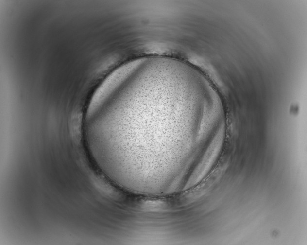 X0000102360066200808151822