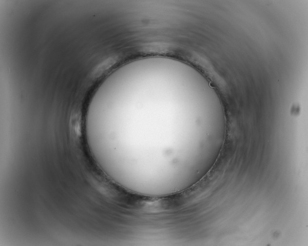 X0000102360068200808151822