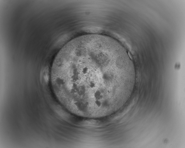 X0000102360069200808151822