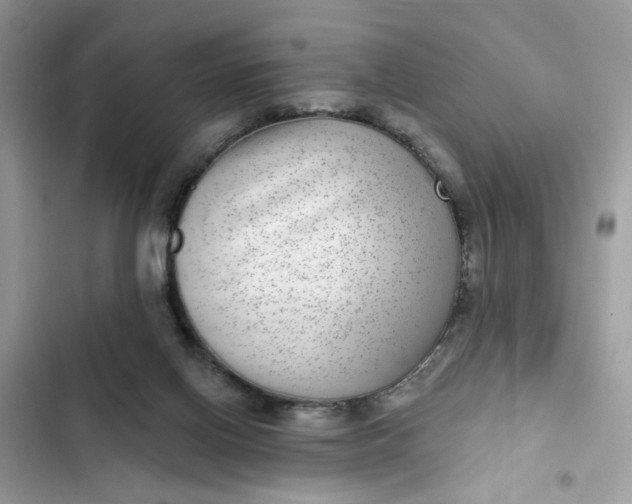 X0000102360070200808151822