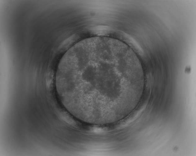 X0000102360073200808151822