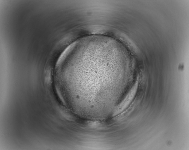 X0000102360074200808151822