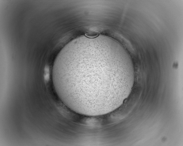 X0000102360075200808151822