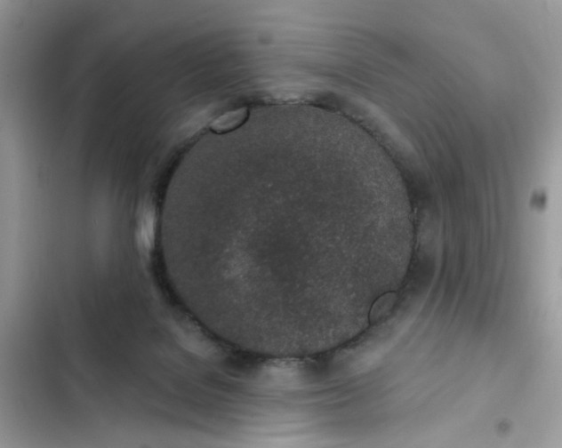 X0000102360076200808151822