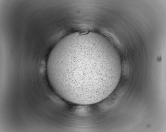 X0000102360077200808151822