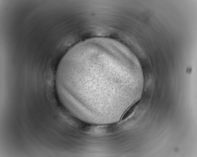 X0000102360078200808151822