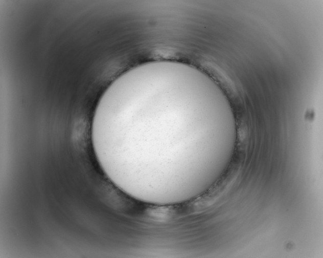 X0000102360079200808151822