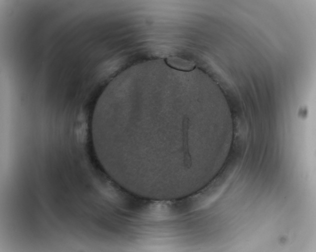 X0000102360080200808151822