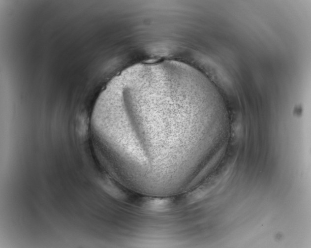 X0000102360081200808151822