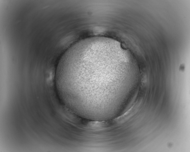 X0000102360082200808151822