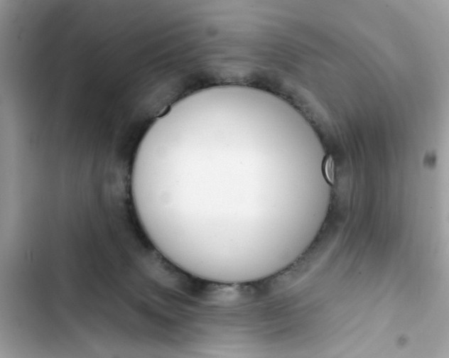 X0000102360083200808151822