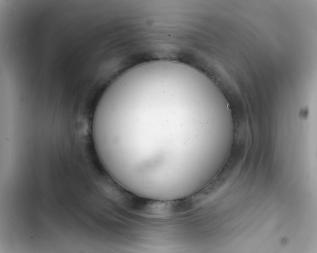 X0000102360084200808151822