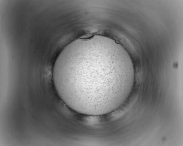 X0000102360085200808151822