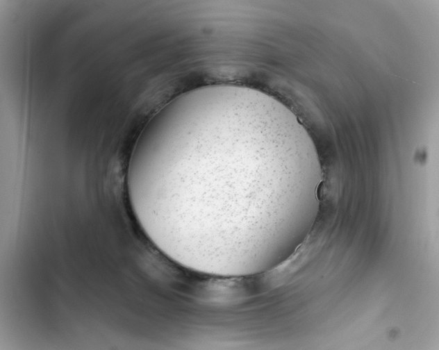 X0000102360086200808151822