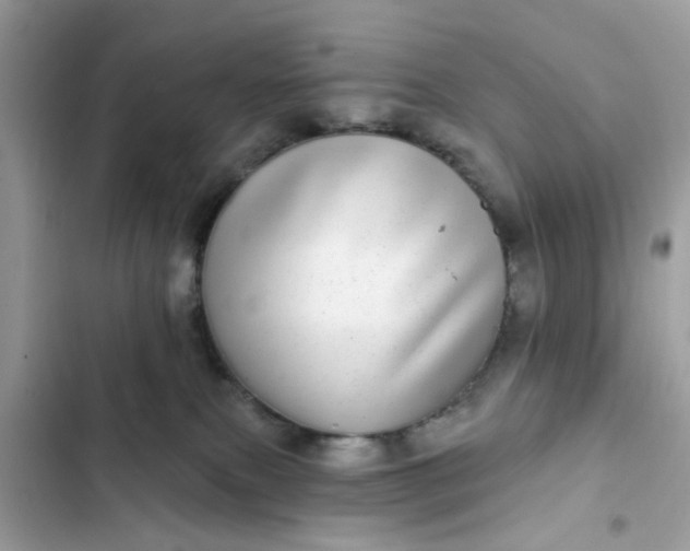 X0000102360087200808151822