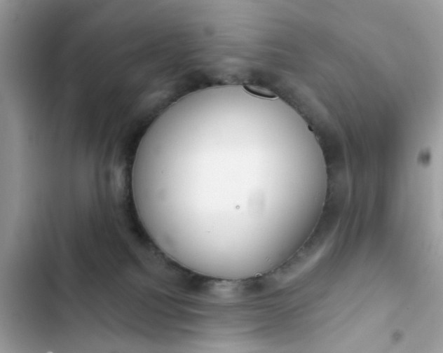 X0000102360088200808151822