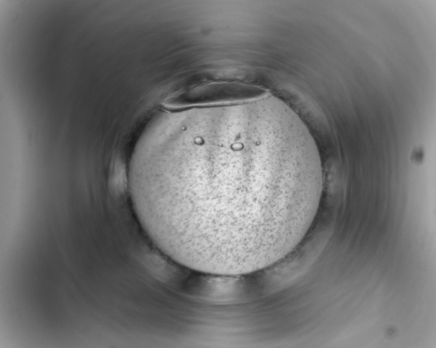 X0000102360089200808151822