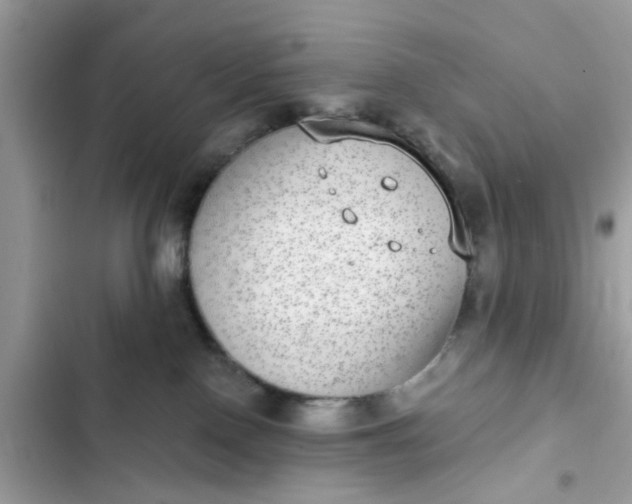 X0000102360090200808151822