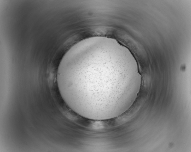 X0000102360091200808151822