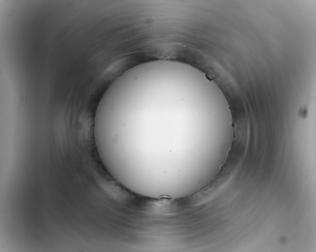 X0000102360092200808151822