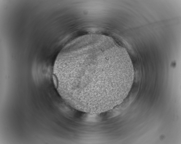 X0000102360093200808151822