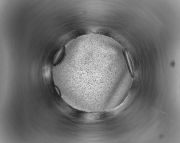 X0000102360094200808151822