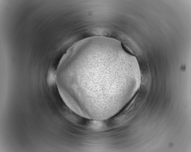 X0000102360095200808151822