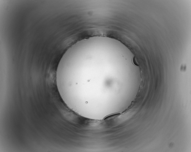 X0000102360096200808151822