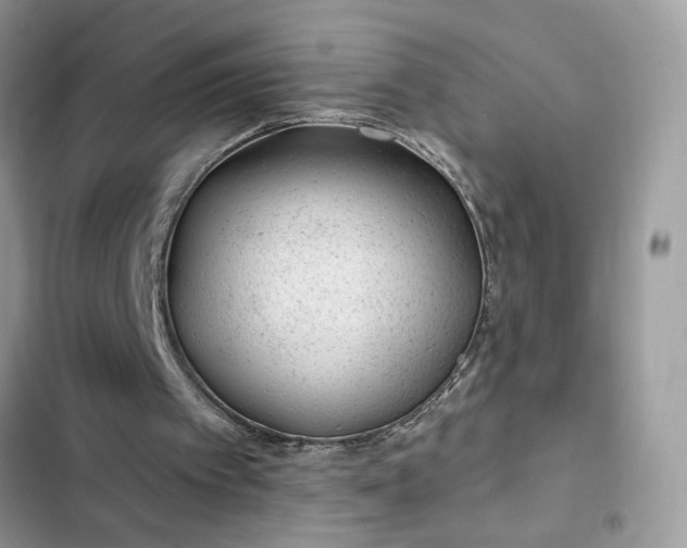 X0000102360097200808151822