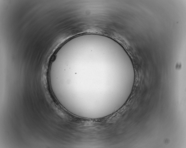 X0000102360098200808151822