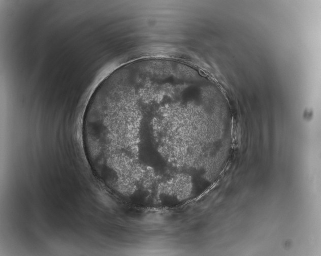 X0000102360099200808151822