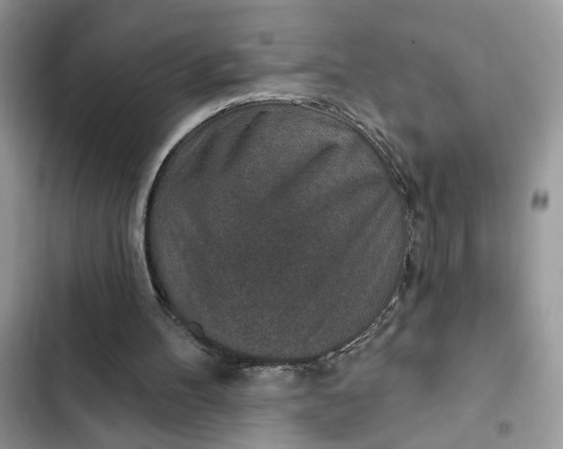 X0000102360100200808151822