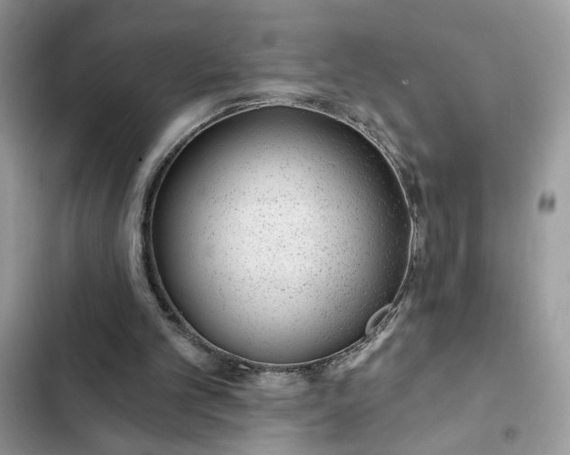 X0000102360101200808151822